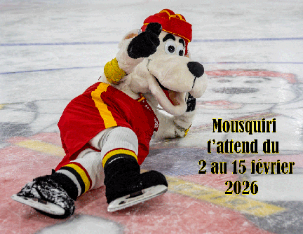 Mousquiri T'attend 6 X 4